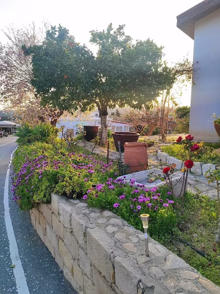 Alektora Park