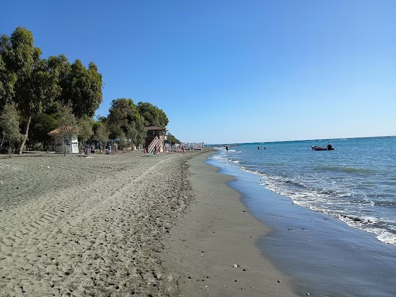 Dasoudi