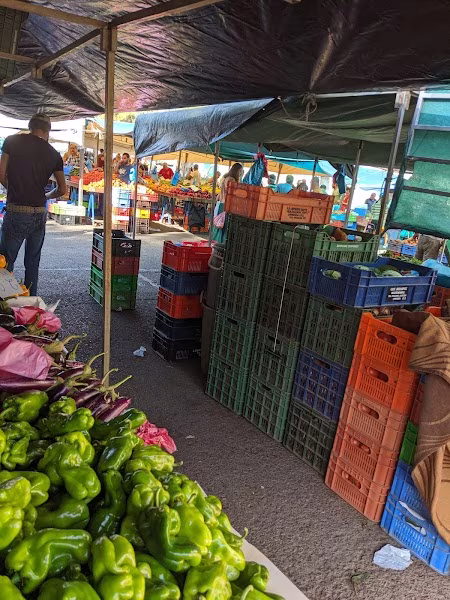 Saturday Market